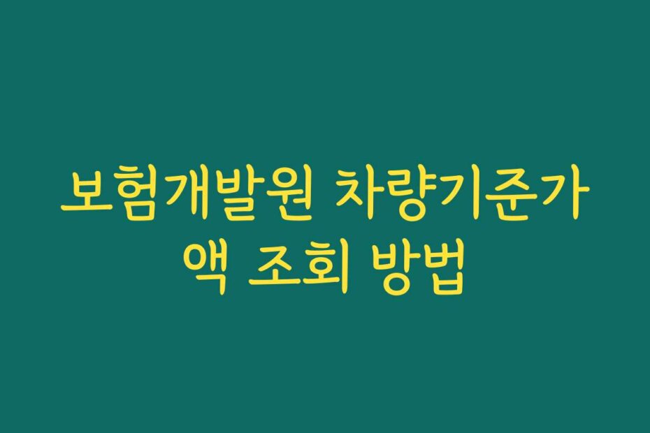 보험개발원 차량기준가액 조회 방법
