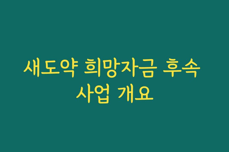 새도약 희망자금 후속 사업 개요
