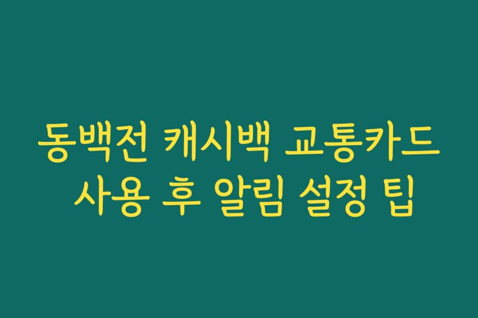 동백전 캐시백 교통카드 사용 후 알림 설정 팁