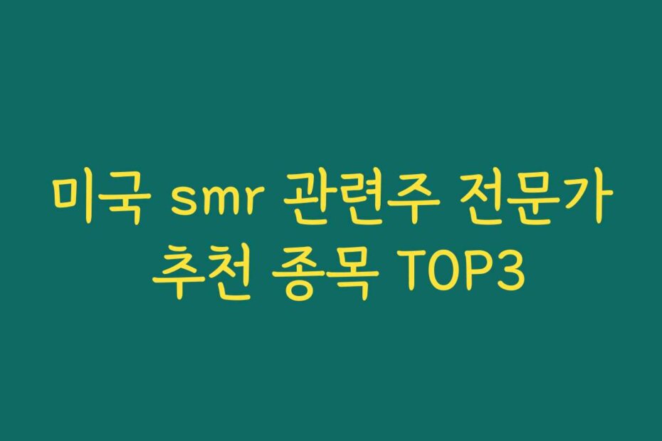 미국 smr 관련주 전문가 추천 종목 TOP3
