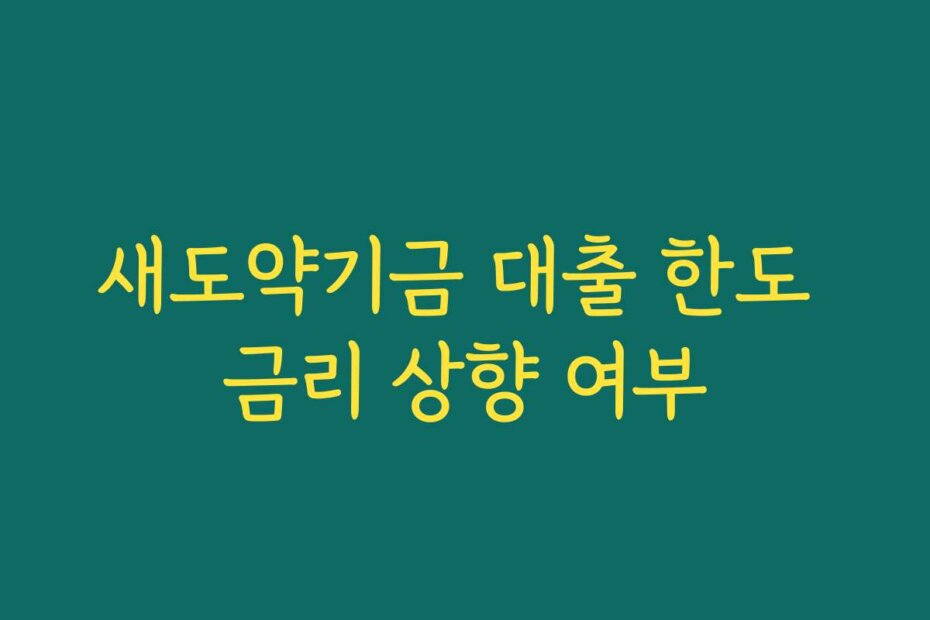 새도약기금 대출 한도 금리 상향 여부