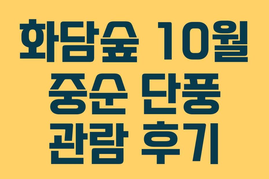 화담숲 10월 중순 단풍 관람 후기