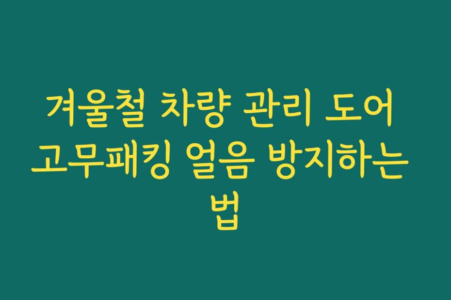 겨울철 차량 관리 도어 고무패킹 얼음 방지하는 법