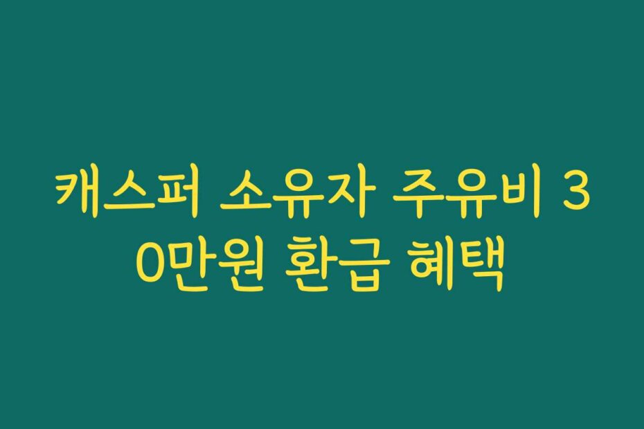 캐스퍼 소유자 주유비 30만원 환급 혜택