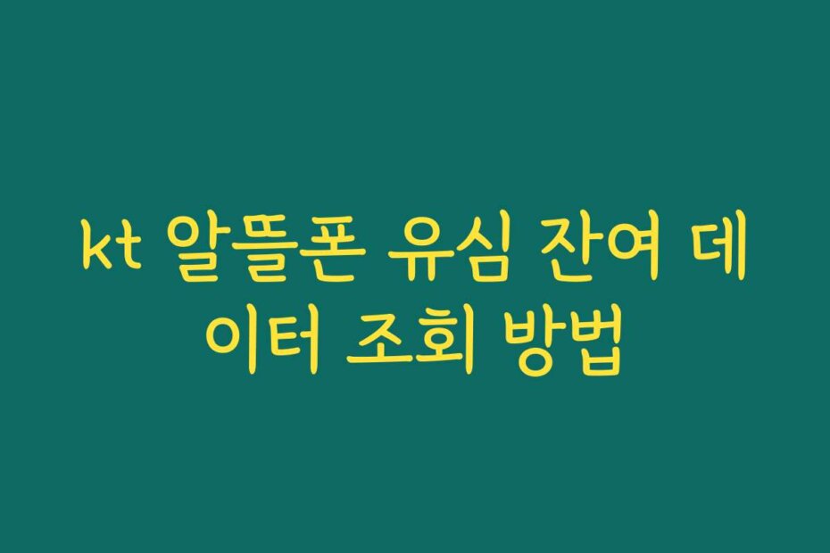 kt 알뜰폰 유심 잔여 데이터 조회 방법