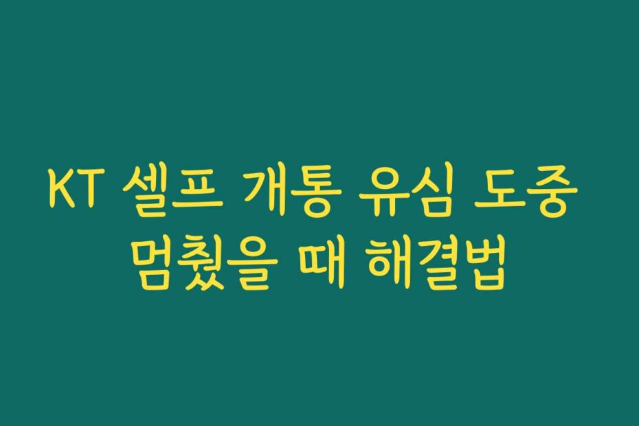 KT 셀프 개통 유심 도중 멈췄을 때 해결법
