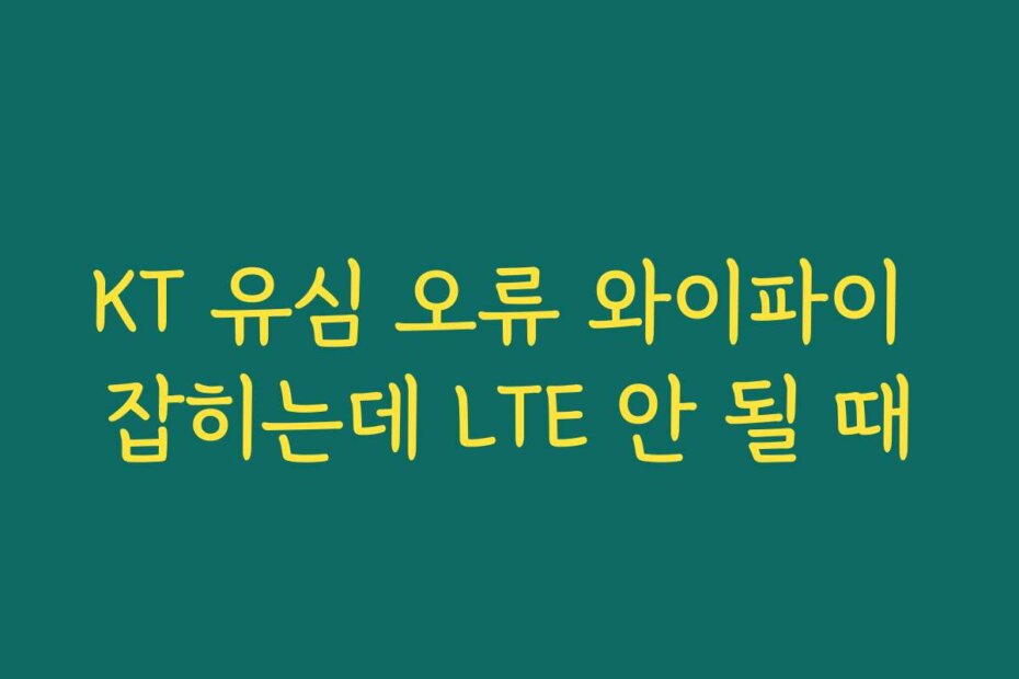 KT 유심 오류 와이파이 잡히는데 LTE 안 될 때