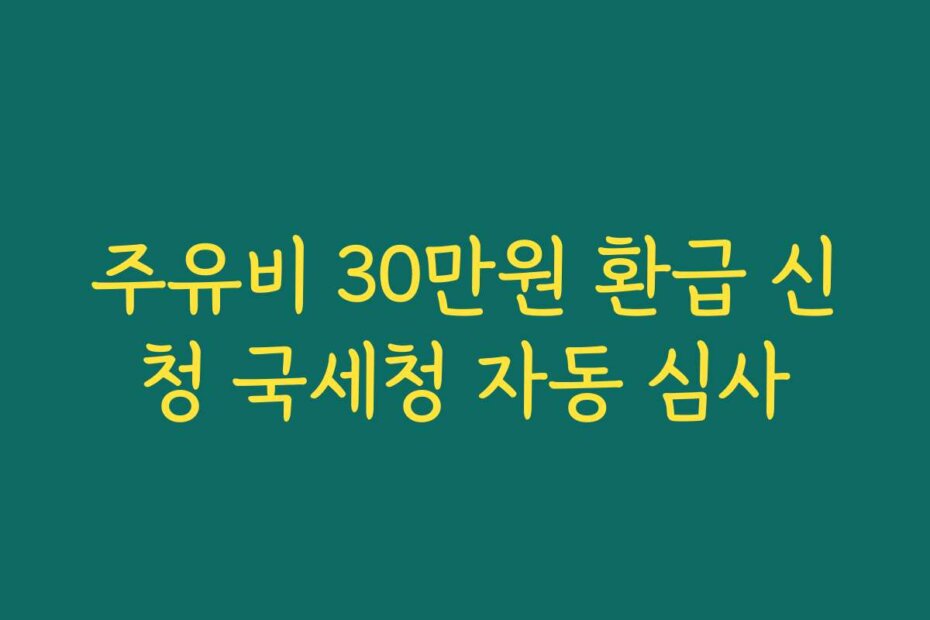 주유비 30만원 환급 신청 국세청 자동 심사