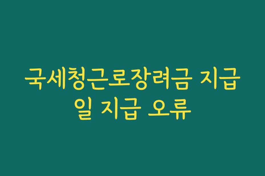 국세청근로장려금 지급일 지급 오류