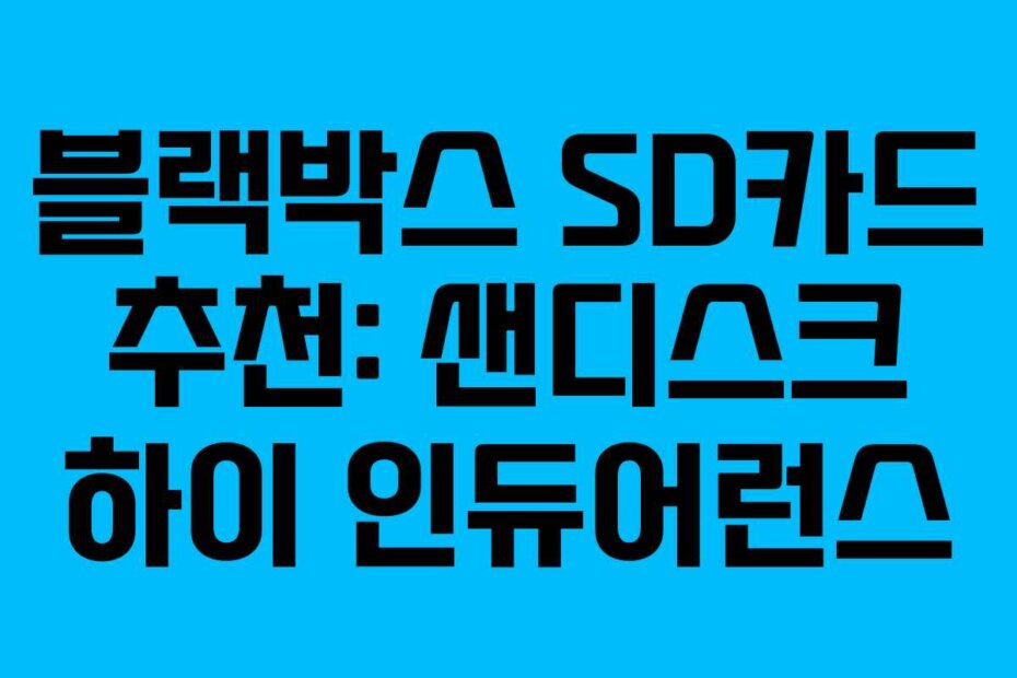 블랙박스 SD카드 추천: 샌디스크 하이 인듀어런스