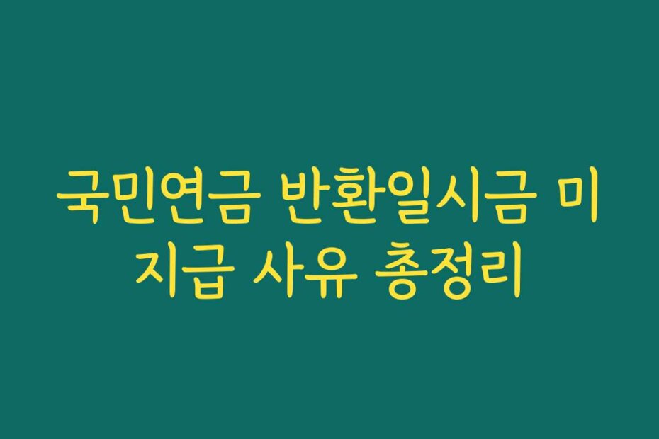 국민연금 반환일시금 미지급 사유 총정리