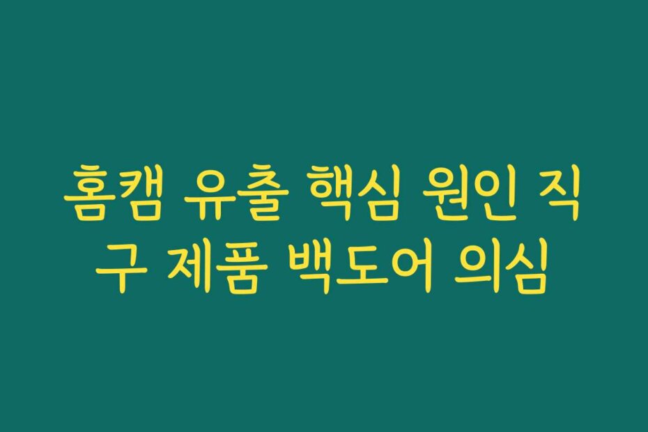 홈캠 유출 핵심 원인 직구 제품 백도어 의심