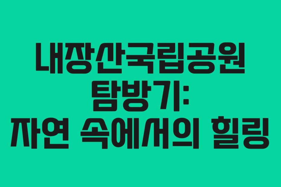 내장산국립공원 탐방기: 자연 속에서의 힐링