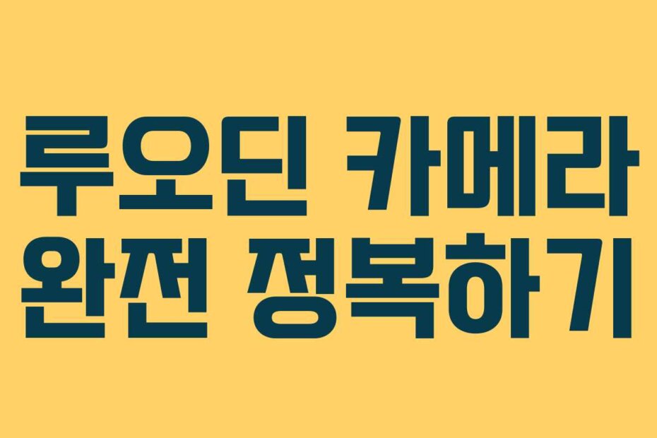 루오딘 카메라 완전 정복하기