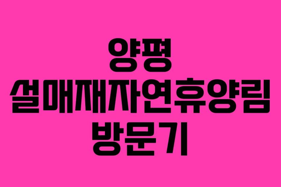 양평 설매재자연휴양림 방문기