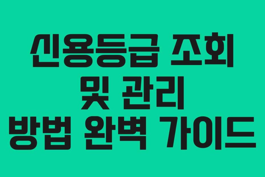 신용등급 조회 및 관리 방법 완벽 가이드