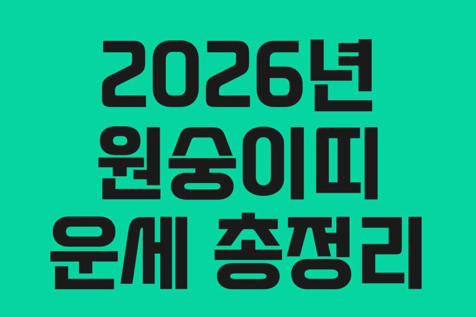 2026년 원숭이띠 운세 총정리