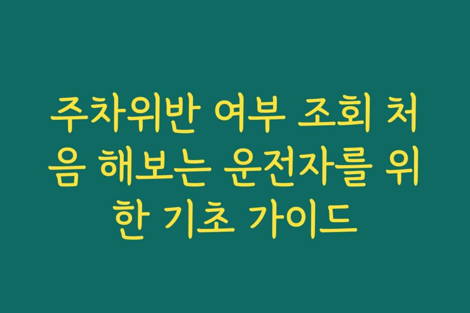 주차위반 여부 조회 처음 해보는 운전자를 위한 기초 가이드