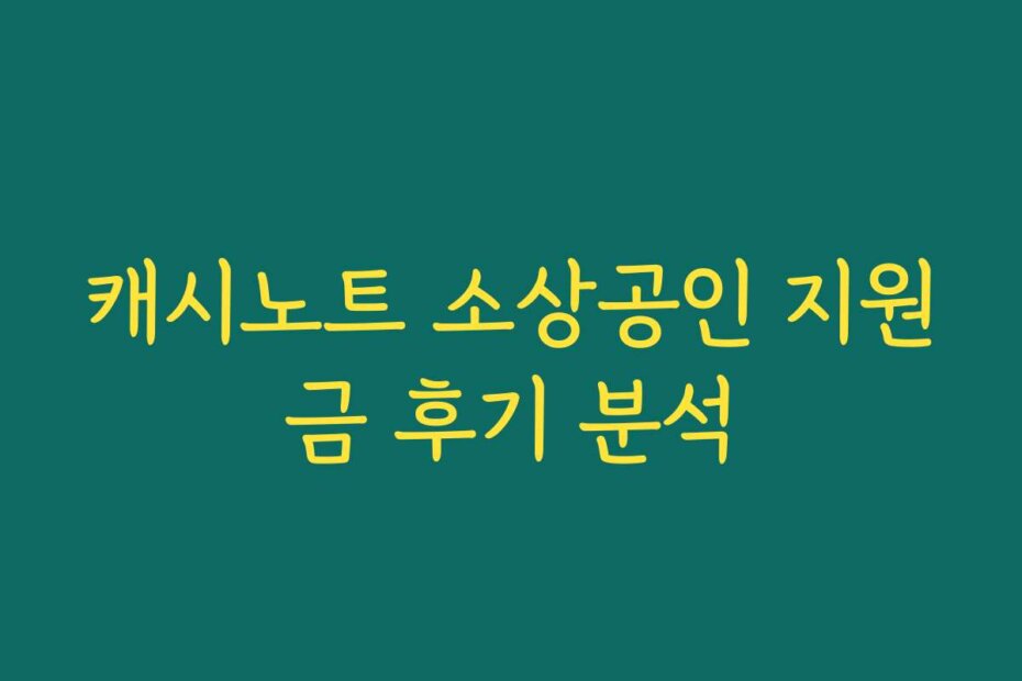 캐시노트 소상공인 지원금 후기 분석