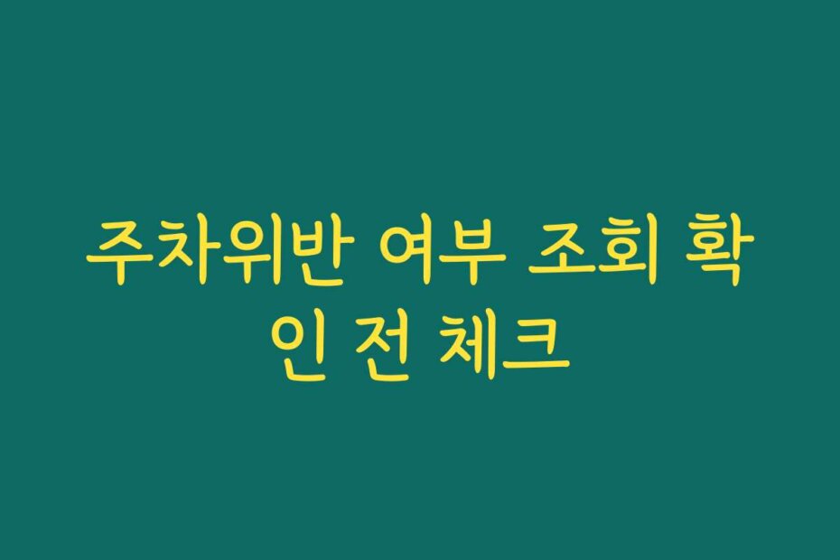 주차위반 여부 조회 확인 전 체크