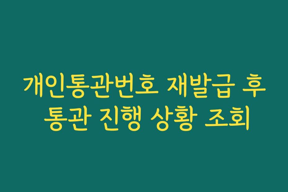 개인통관번호 재발급 후 통관 진행 상황 조회