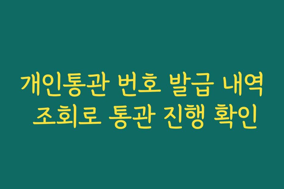 개인통관 번호 발급 내역 조회로 통관 진행 확인