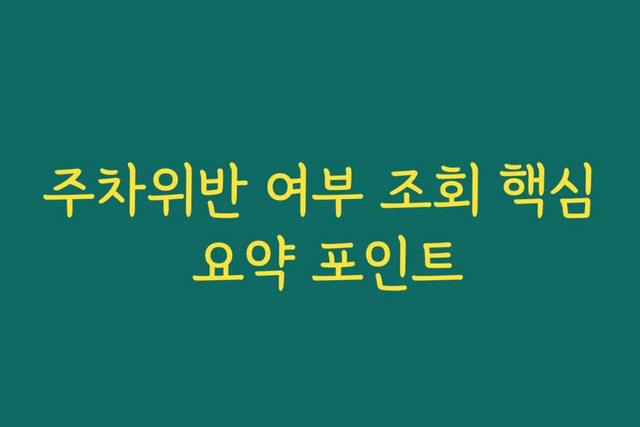 주차위반 여부 조회 핵심 요약 포인트