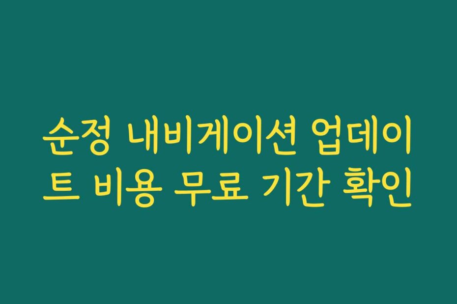 순정 내비게이션 업데이트 비용 무료 기간 확인