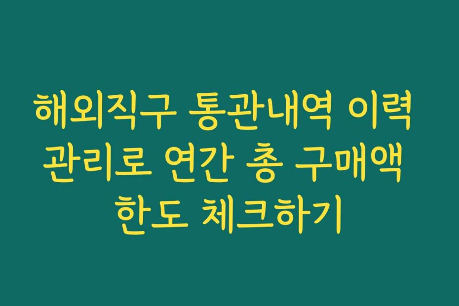 해외직구 통관내역 이력 관리로 연간 총 구매액 한도 체크하기