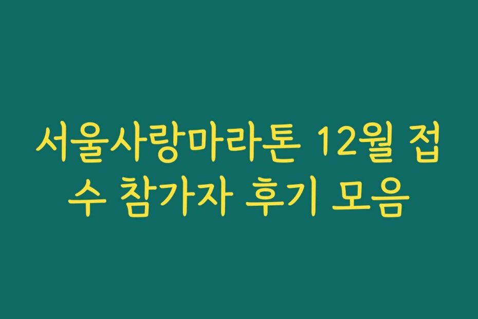 서울사랑마라톤 12월 접수 참가자 후기 모음