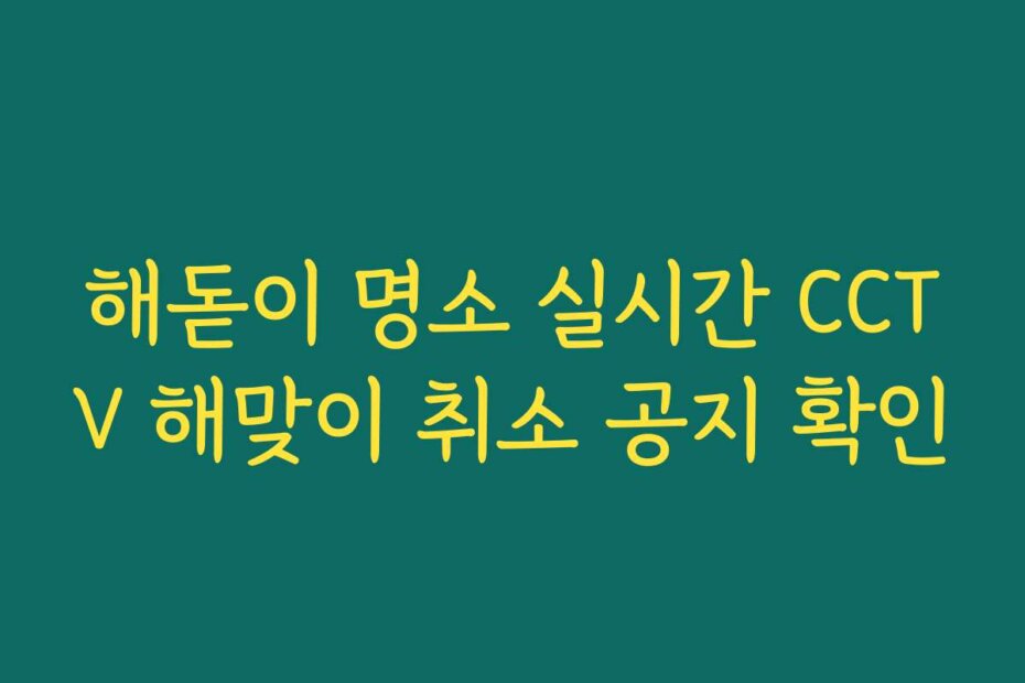 해돋이 명소 실시간 CCTV 해맞이 취소 공지 확인