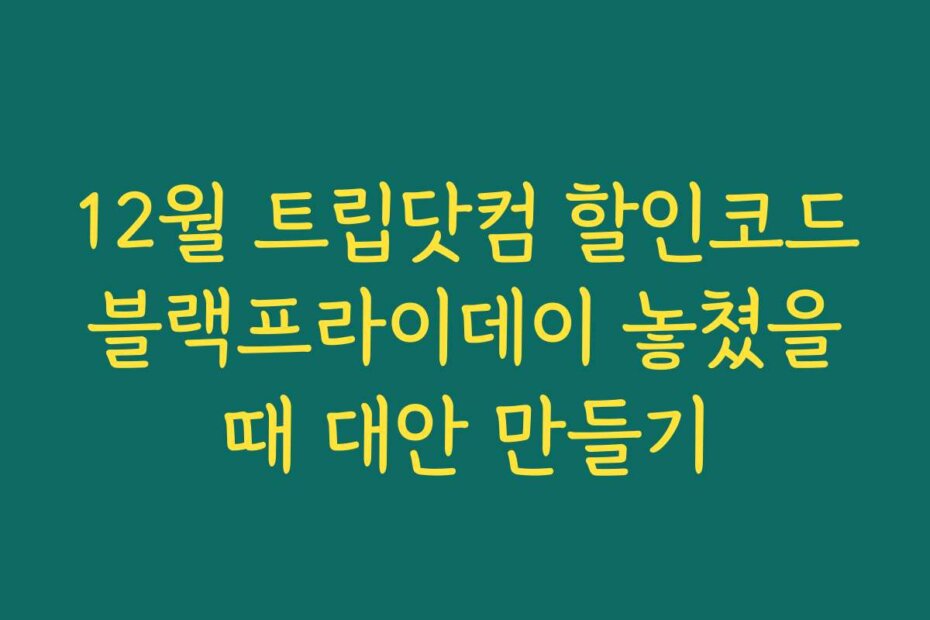 12월 트립닷컴 할인코드 블랙프라이데이 놓쳤을 때 대안 만들기