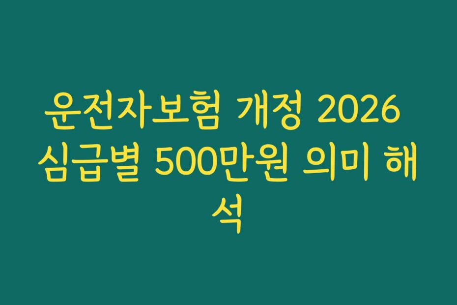 운전자보험 개정 2026 심급별 500만원 의미 해석
