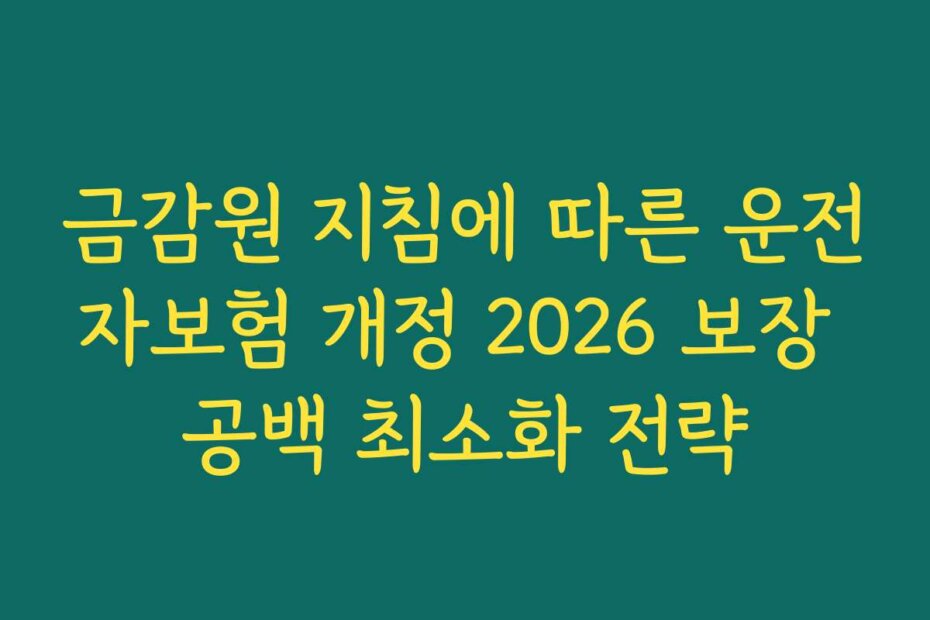 금감원 지침에 따른 운전자보험 개정 2026 보장 공백 최소화 전략