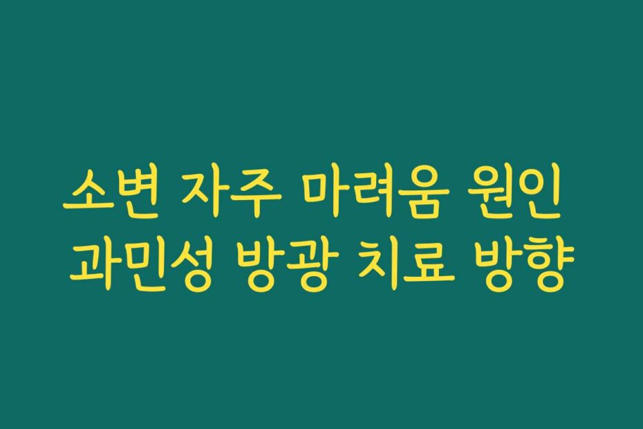 소변 자주 마려움 원인 과민성 방광 치료 방향