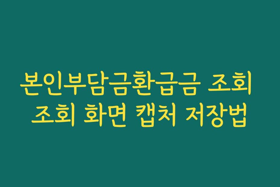 본인부담금환급금 조회 조회 화면 캡처 저장법
