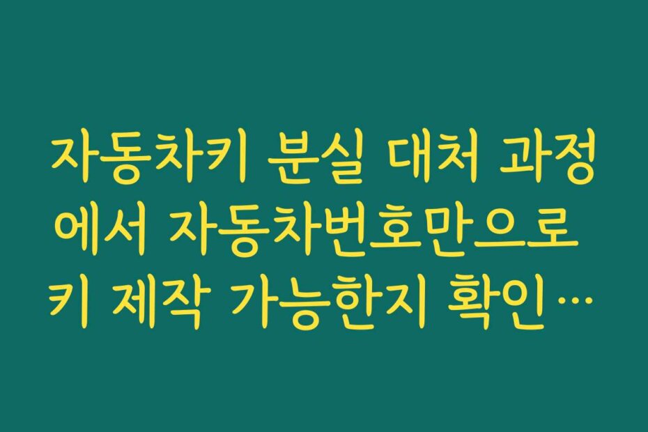 자동차키 분실 대처 과정에서 자동차번호만으로 키 제작 가능한지 확인하기