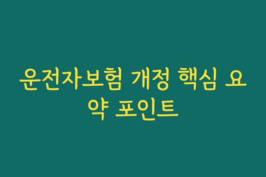 운전자보험 개정 핵심 요약 포인트