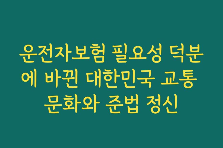 운전자보험 필요성 덕분에 바뀐 대한민국 교통 문화와 준법 정신