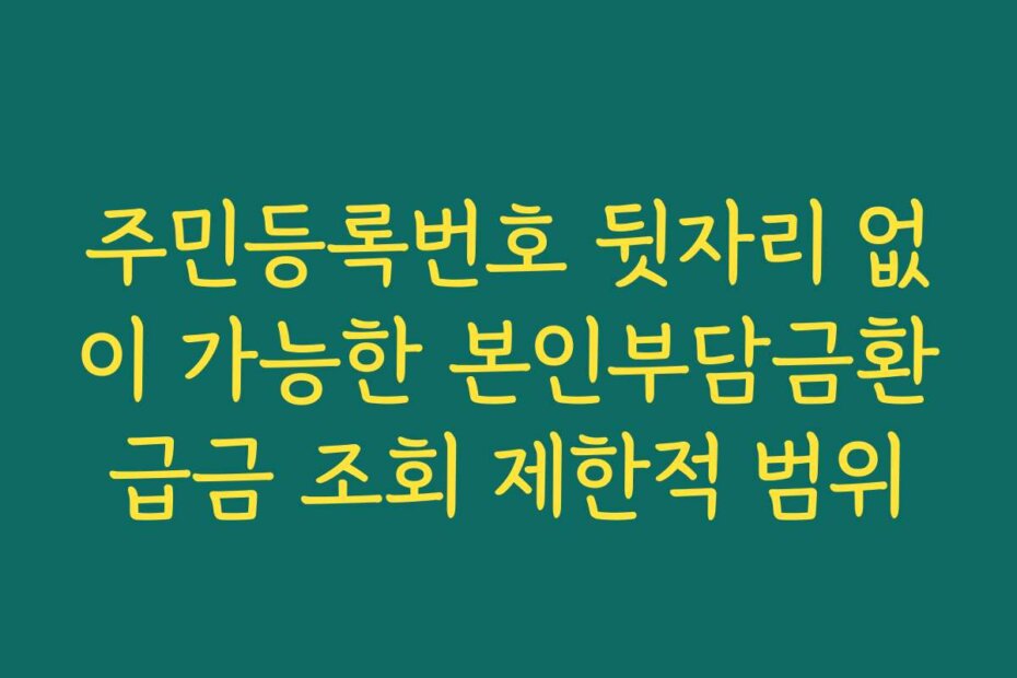 주민등록번호 뒷자리 없이 가능한 본인부담금환급금 조회 제한적 범위