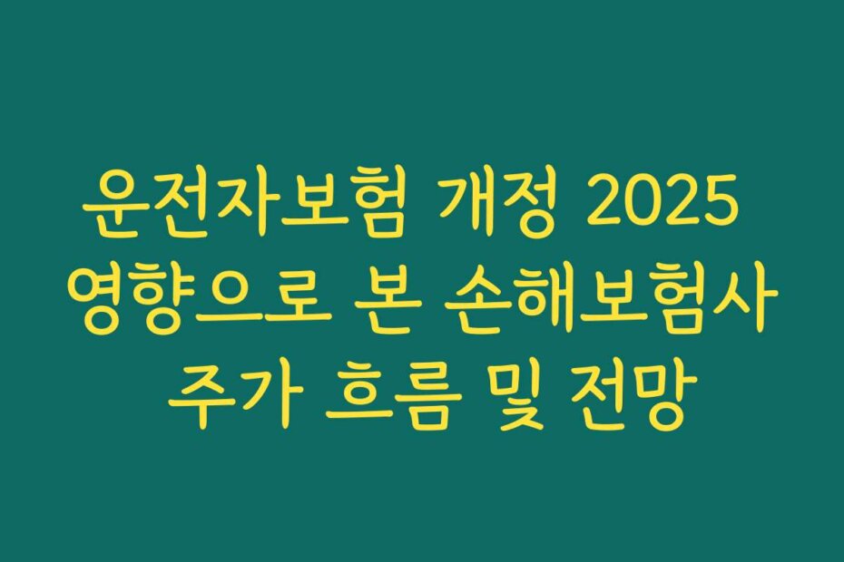 운전자보험 개정 2025 영향으로 본 손해보험사 주가 흐름 및 전망