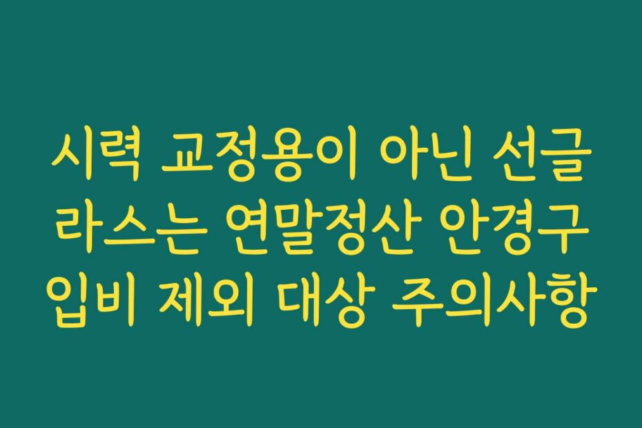 시력 교정용이 아닌 선글라스는 연말정산 안경구입비 제외 대상 주의사항