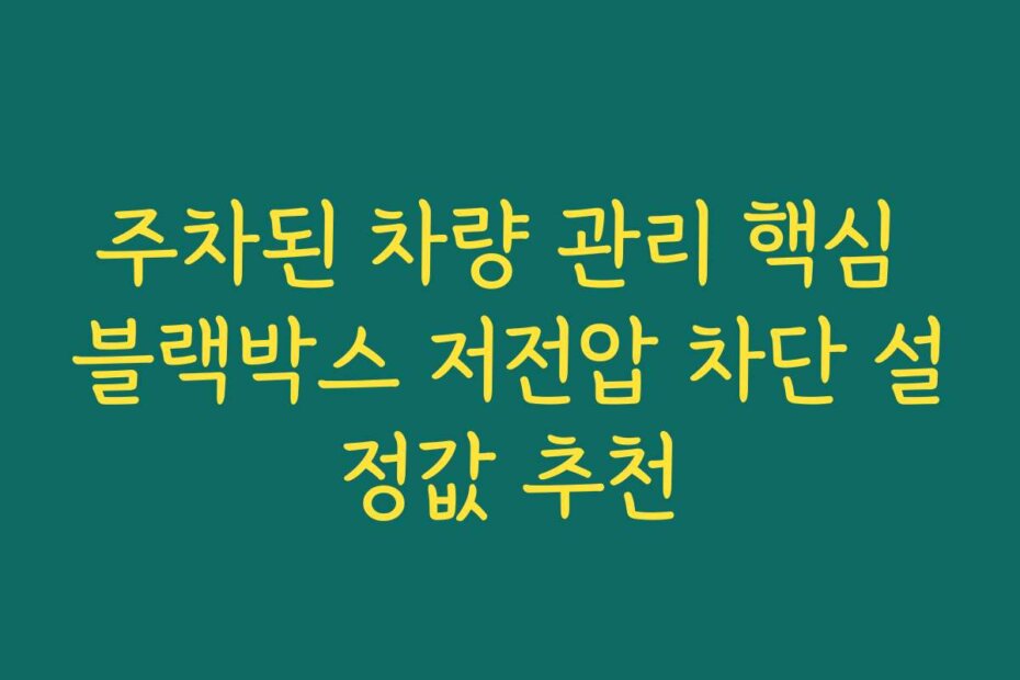 주차된 차량 관리 핵심 블랙박스 저전압 차단 설정값 추천