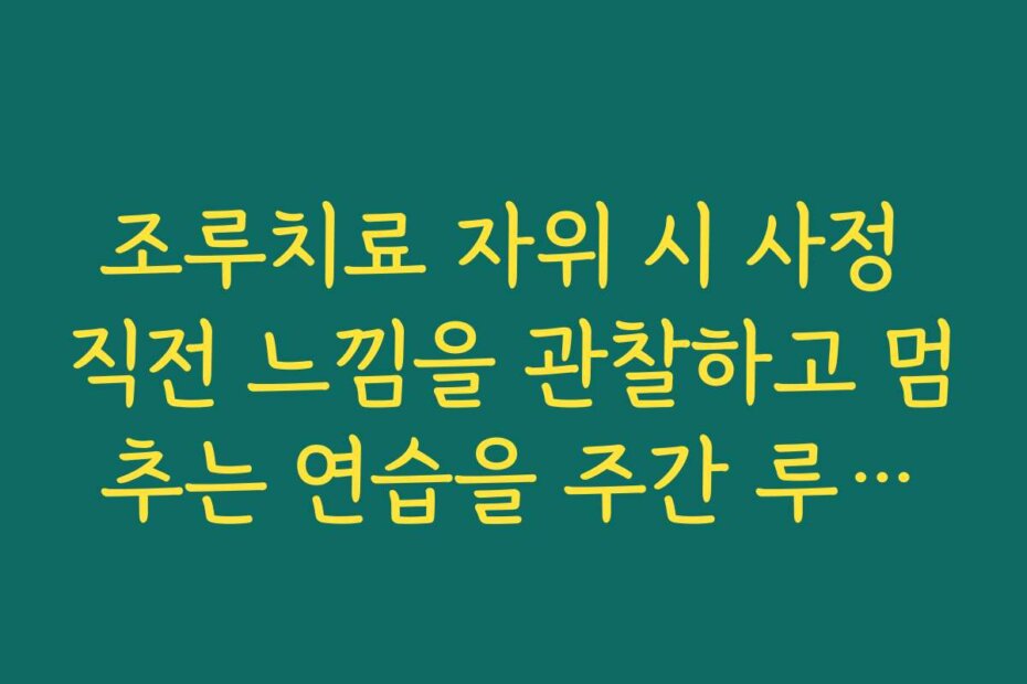 조루치료 자위 시 사정 직전 느낌을 관찰하고 멈추는 연습을 주간 루틴으로 만드는 법