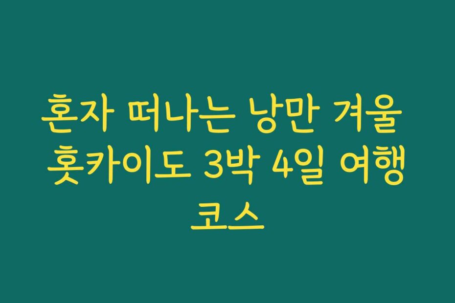 혼자 떠나는 낭만 겨울 홋카이도 3박 4일 여행코스