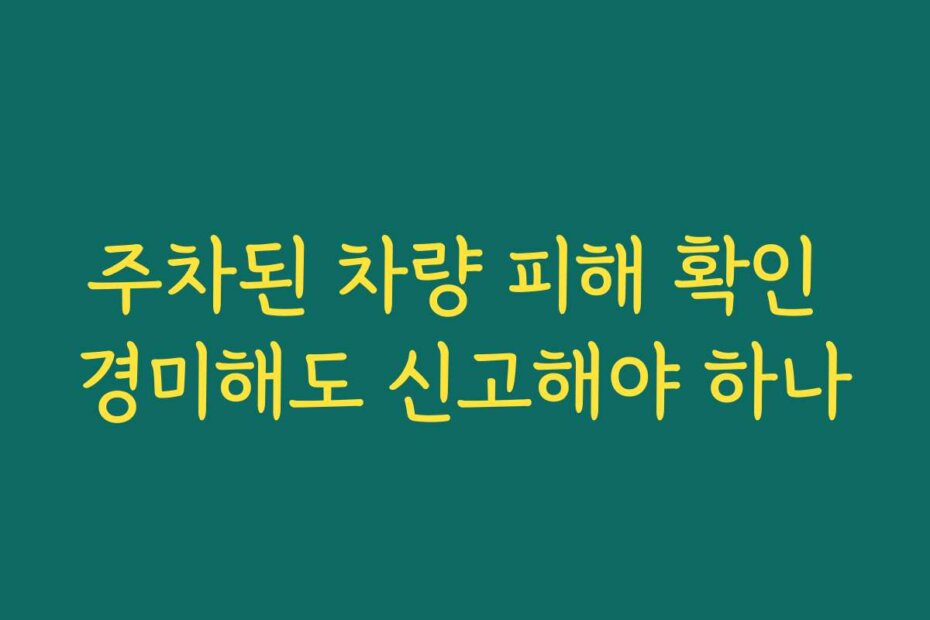 주차된 차량 피해 확인 경미해도 신고해야 하나