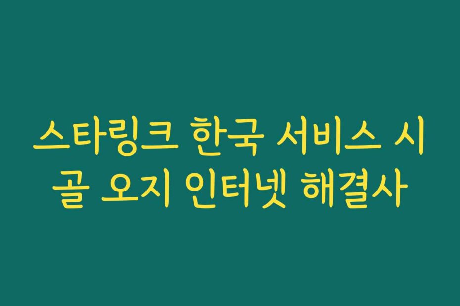 스타링크 한국 서비스 시골 오지 인터넷 해결사