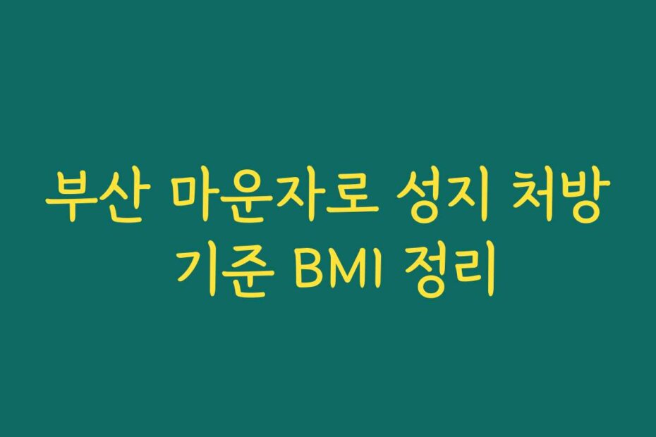 부산 마운자로 성지 처방 기준 BMI 정리