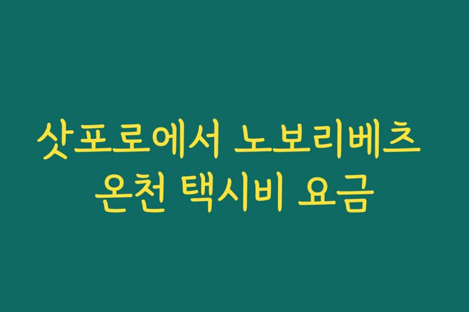 삿포로에서 노보리베츠 온천 택시비 요금