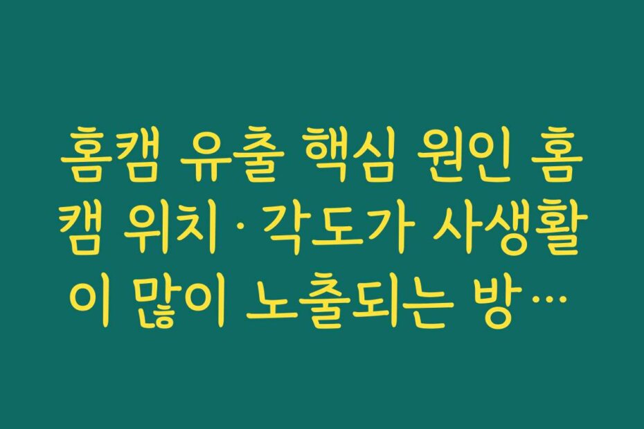 홈캠 유출 핵심 원인 홈캠 위치·각도가 사생활이 많이 노출되는 방향을 향한 점